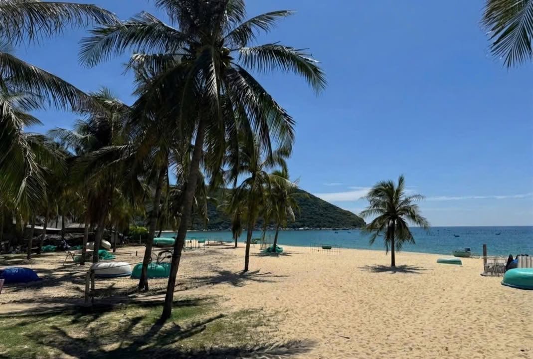 Đất Biển Xuân Thịnh - Sông Cầu 1600m² - Cơ Hội Đầu Tư Homestay View Đẹp