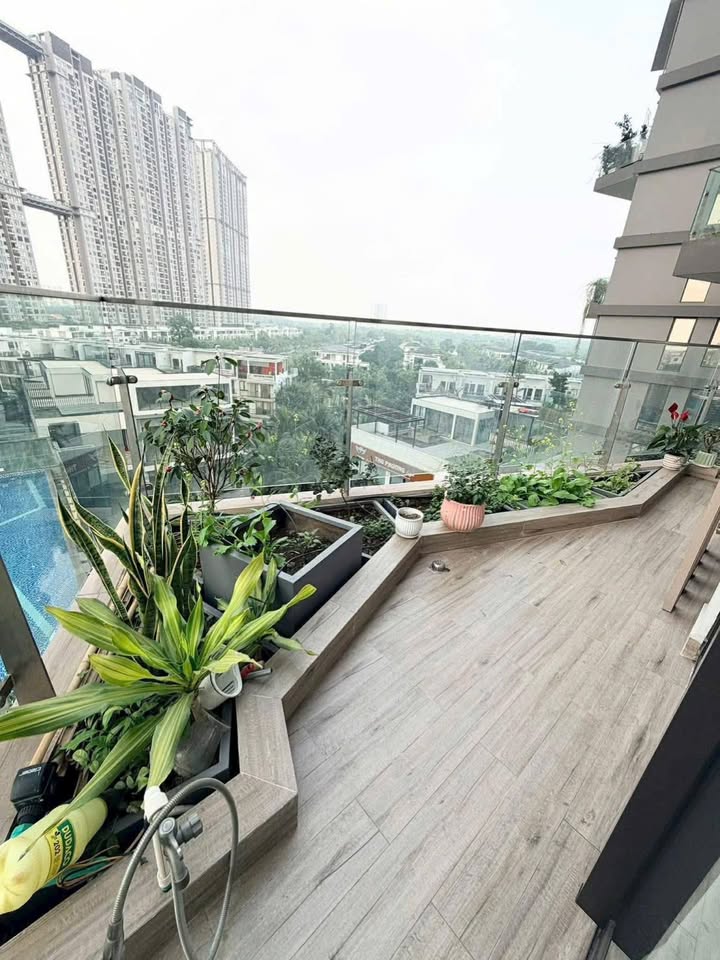 Căn hộ Sol Forest Ecopark 77m² - Sổ hồng, view bể bơi, sẵn ở