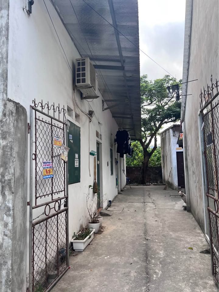 Nhà 59m² Đông Anh - Nhỉnh 3 Tỷ, Ô tô Đỗ Cửa, Dòng Tiền Sẵn