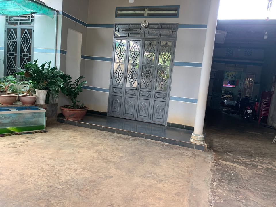 Nhà Mặt Tiền Bùi Thị Xuân, Phước An - Kinh Doanh Đắc Lợi 200m²