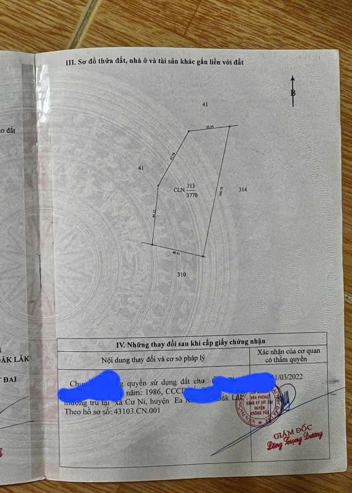 Bán Đất Nền Krông Bông 1332m² - Sổ Đỏ Sẵn Sàng