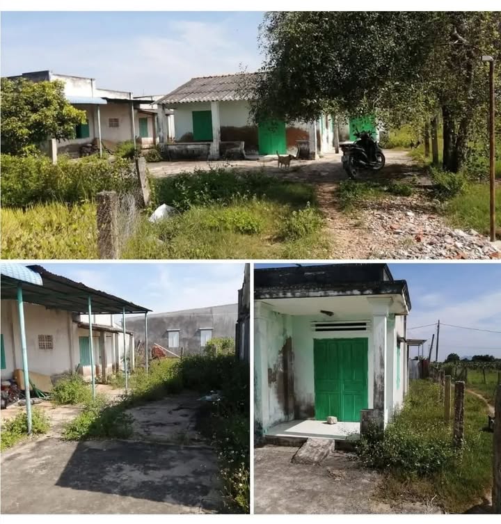 Nhà Cấp 4 Thổ Cư 300m² Đường Nguyễn Hội, TP. Thủ Đức - Sẵn Sàng Ở Ngay