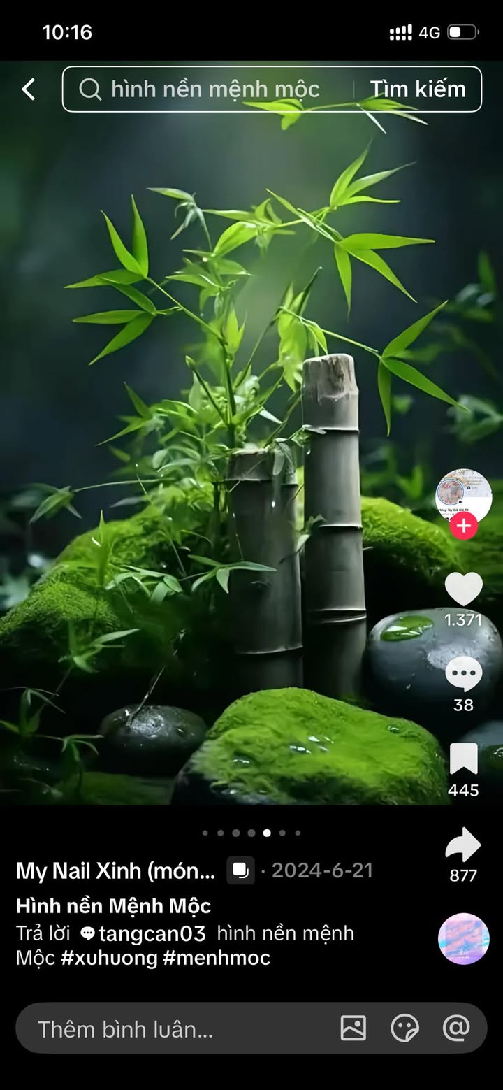 Đất Vườn 172m² Hoa Lộc, Hậu Lộc - Sổ Đỏ Riêng, Giá Tốt Đầu Tư