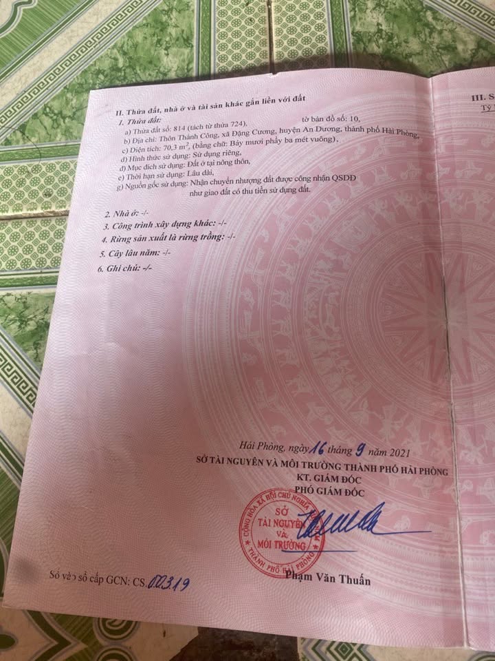 Bán nhà 70m² đường thông ô tô đỗ cửa tại Hải An, Hải Phòng - Giá 14 tỷ