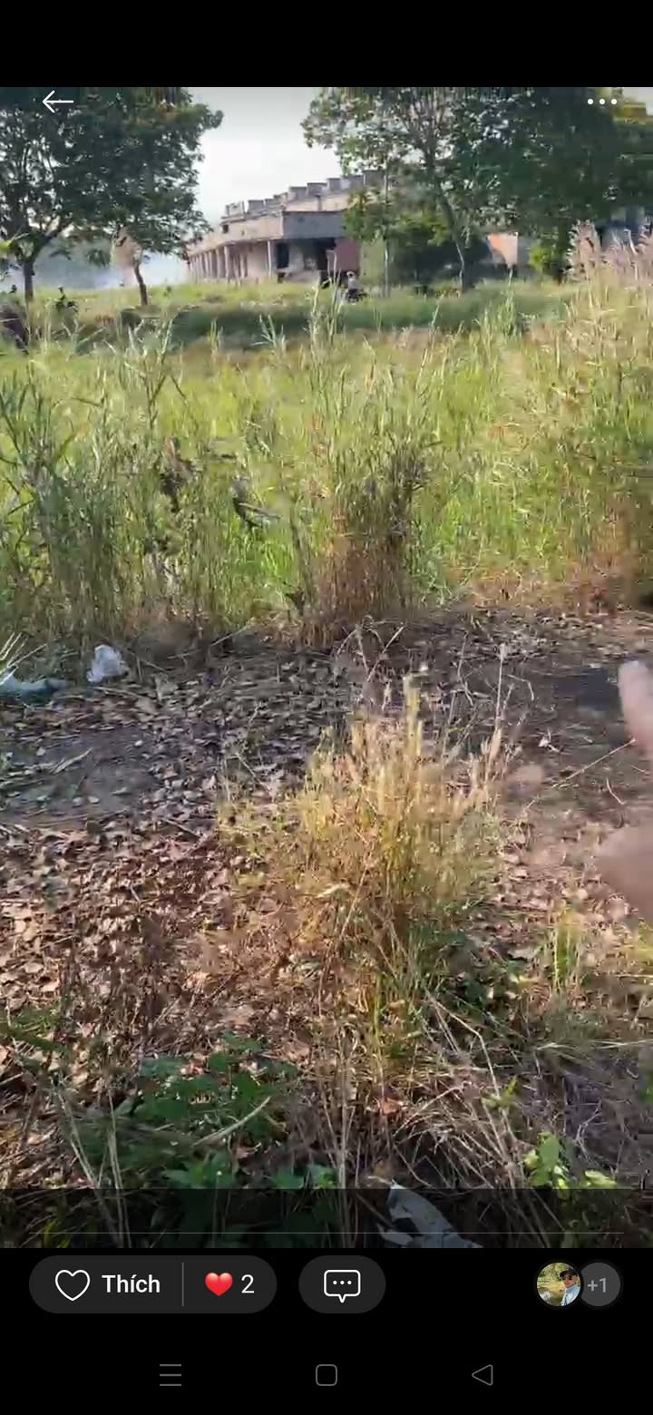 Đất Nền An Phú Tây Bình Chánh 88m² - Giảm Sốc 100 Triệu, Giá Mới 3.6 Tỷ