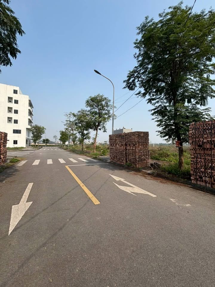 Đất nền Him Lam Thụ Ninh 81m² - Đầu tư tiềm năng 7.x tỷ