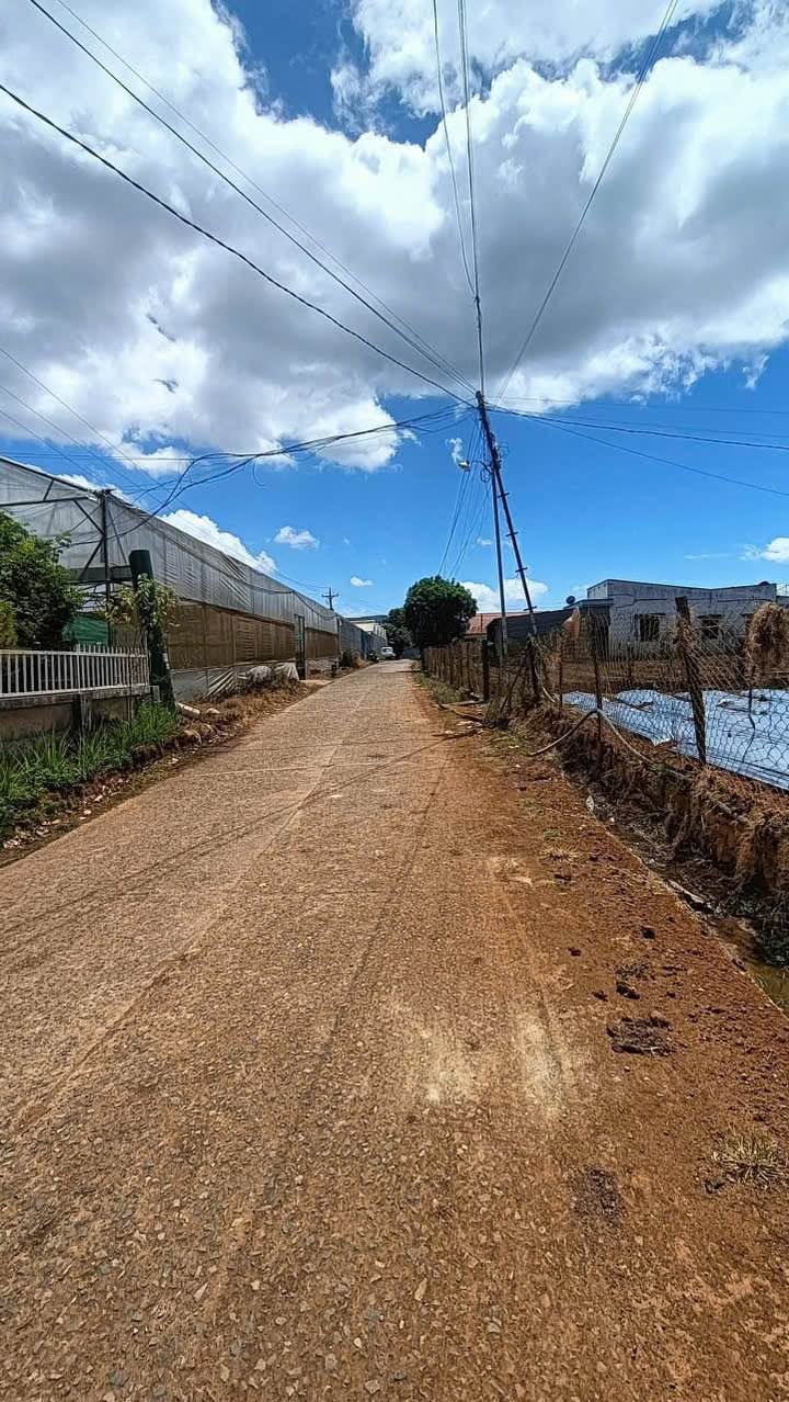 Đất nền Đức Trọng 240m² - 4 lô F0 sổ sẵn, giá từ 1.4 tỷ