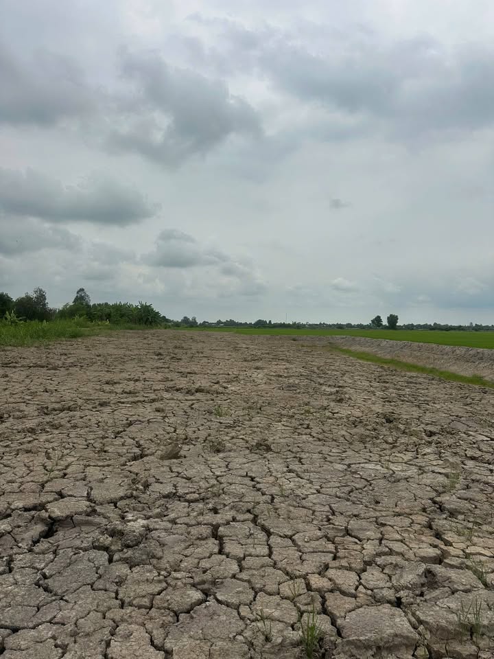 Đất Vàng Phú Quốc - 1887m² Mặt Tiền Kinh 3, Sẵn Sổ Hồng