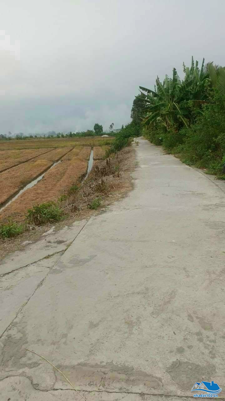 Bán Đất Vườn An Giang 6.718m² - Sổ Hồng Quy Hoạch Đất Ở