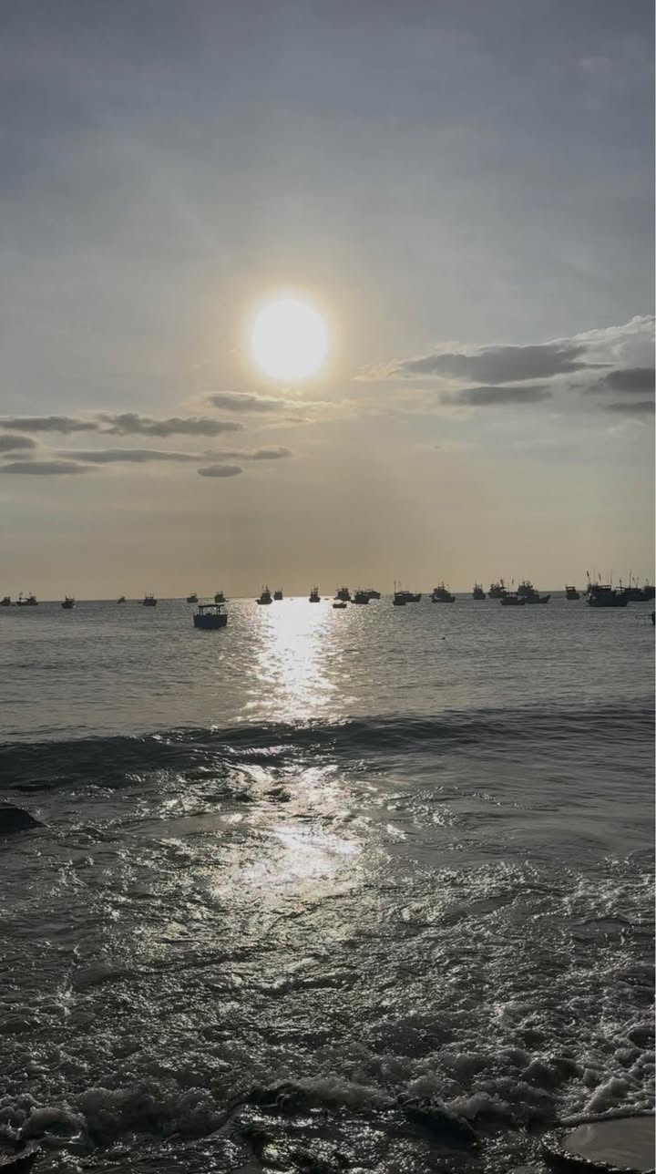 Đất Biển Mũi Né 120m² - Sổ Hồng Riêng, Hướng Đông, Giá Tốt