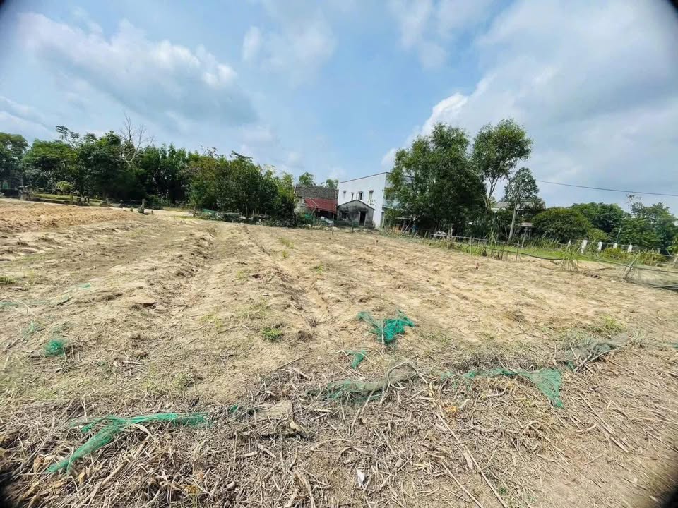 Bán Đất Nền Xã Xuân Phú, Đà Nẵng - 123m² Gần Chợ, Đại Học