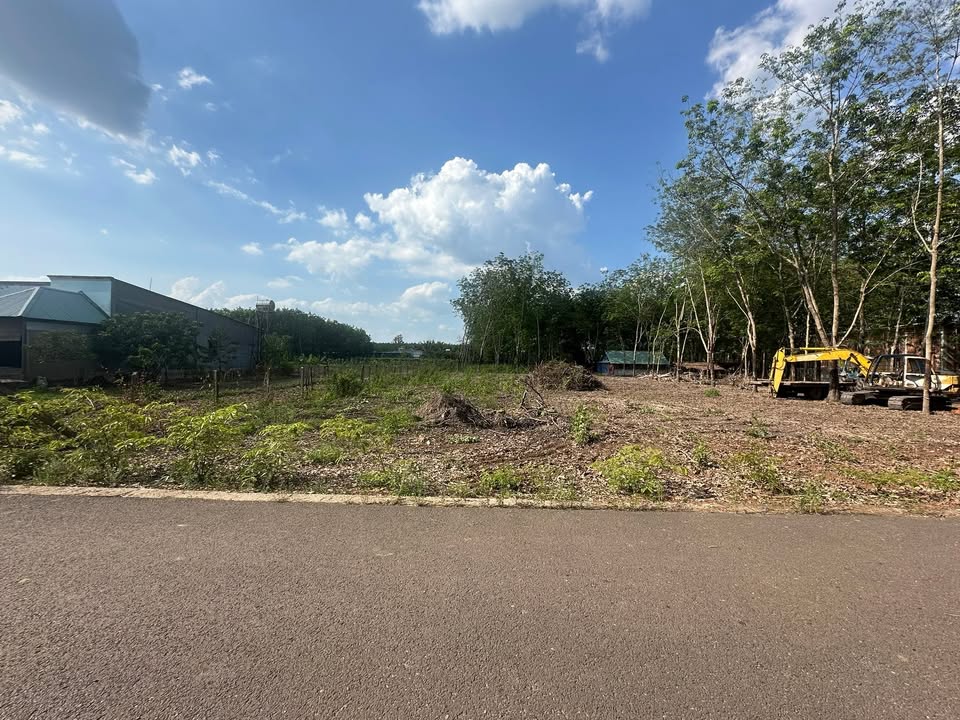 Bán Đất Nền 750m² Minh Thạnh, Bình Chánh - Sổ Đỏ Sẵn, Tách 3 Lô