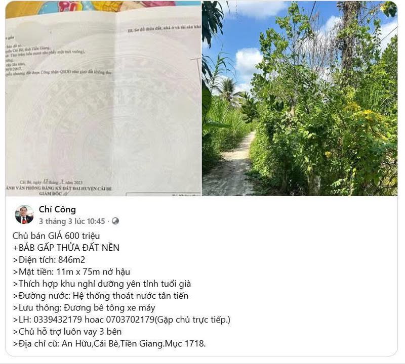 Bán Gấp Đất Nền An Hữu, Tiền Giang 846m² - Giá Sốc Chỉ 520 Triệu