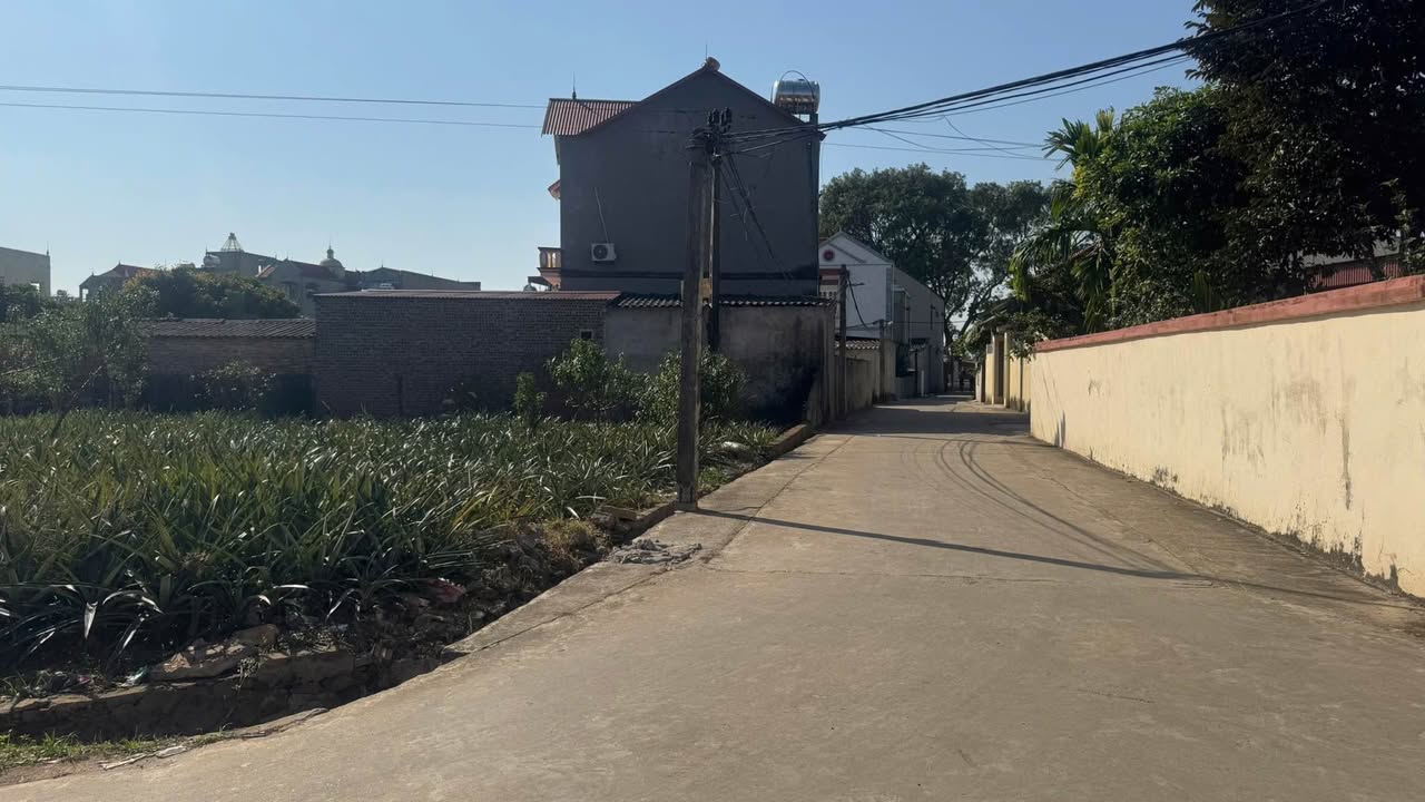 Đất Lan Mẫu Lục Nam 100m² 1 tỷ - Sổ đỏ chính chủ