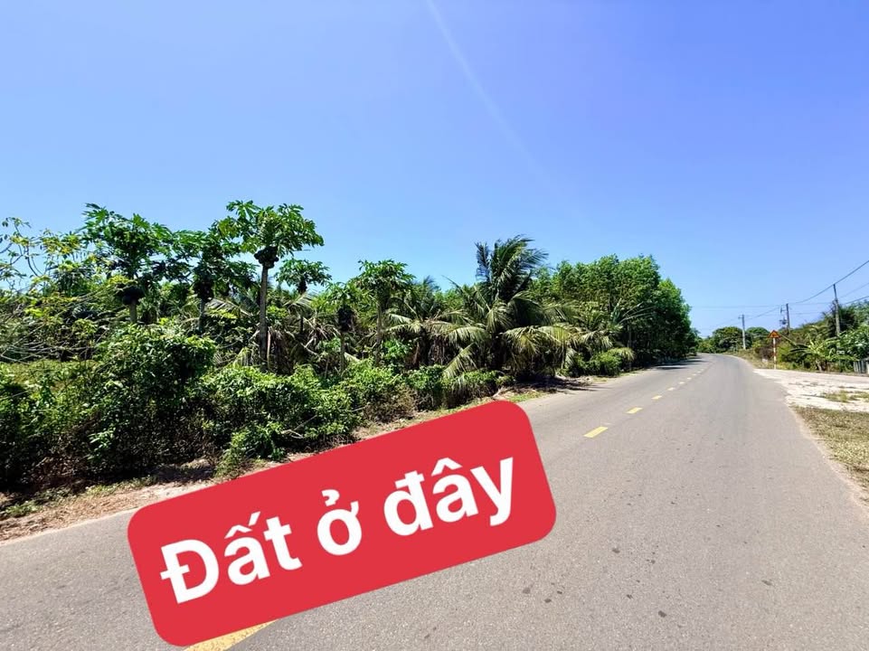 Đất Vườn 1000m² Phước Hải - 7 Tỷ - Gần Biển, Sổ Hồng Riêng
