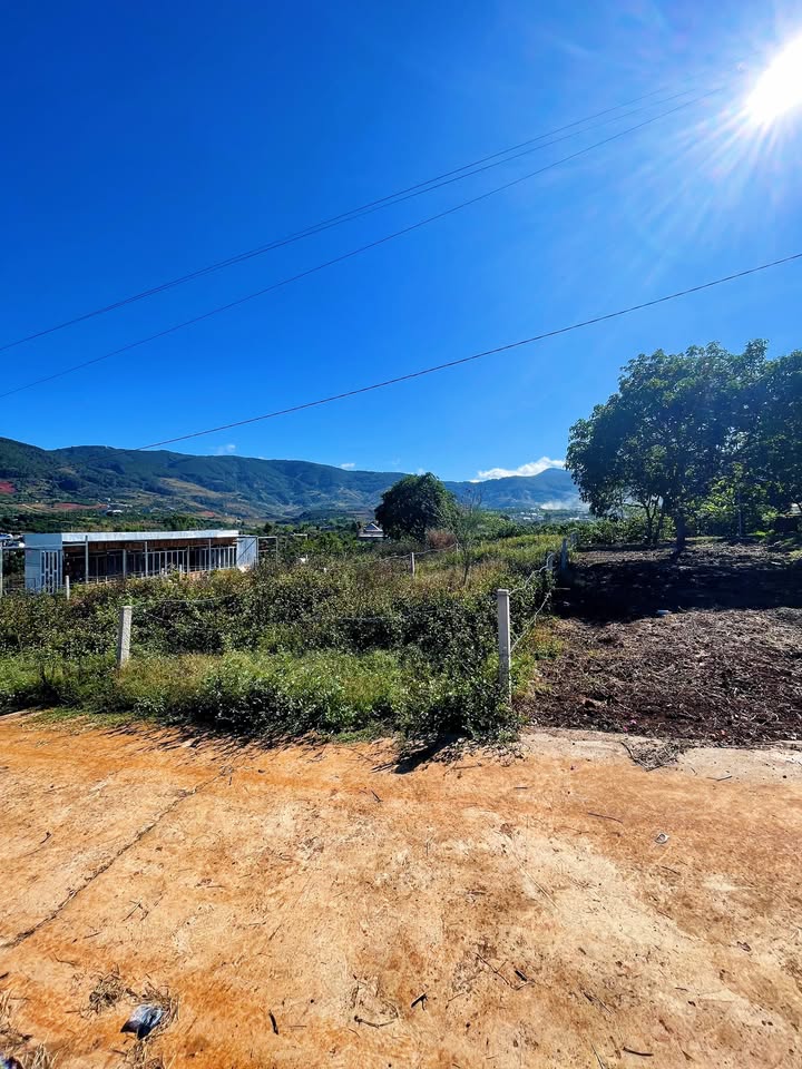 Đất Nền View Núi Đông Thanh, Lâm Hà - 260m² Thổ Cư, Chỉ 680 Triệu