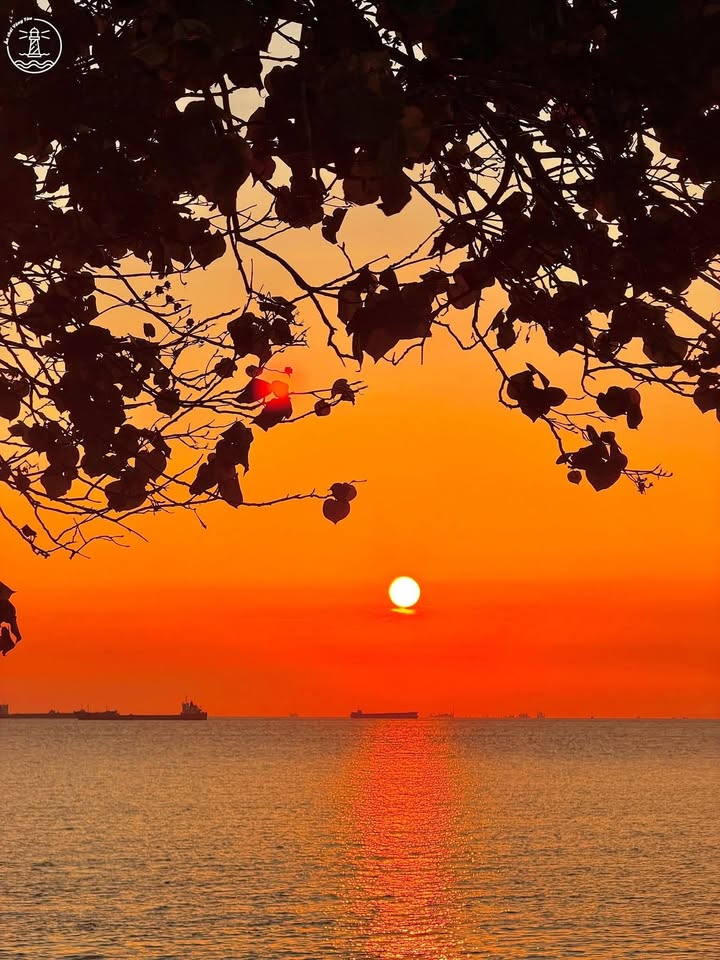 Nhà mặt tiền Nam Kỳ Khởi Nghĩa 85m² 17,5 tỷ - Chính chủ