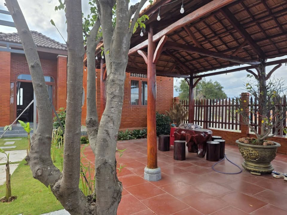 Bán Homestay Sổ Đỏ 240m² Mặt Tiền Nhựa Phan Thiết - Giá 1 Tỷ Thương Lượng