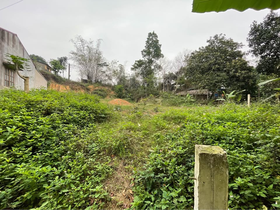 Đất nền Kim Phú Tuyên Quang 348m² - Sổ đỏ sẵn sàng, giá đầu tư 2.6 tỷ