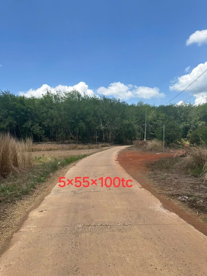 Đất nền Nghĩa Trung, Bình Phước - 275m² giá ngộp chỉ 150 triệu