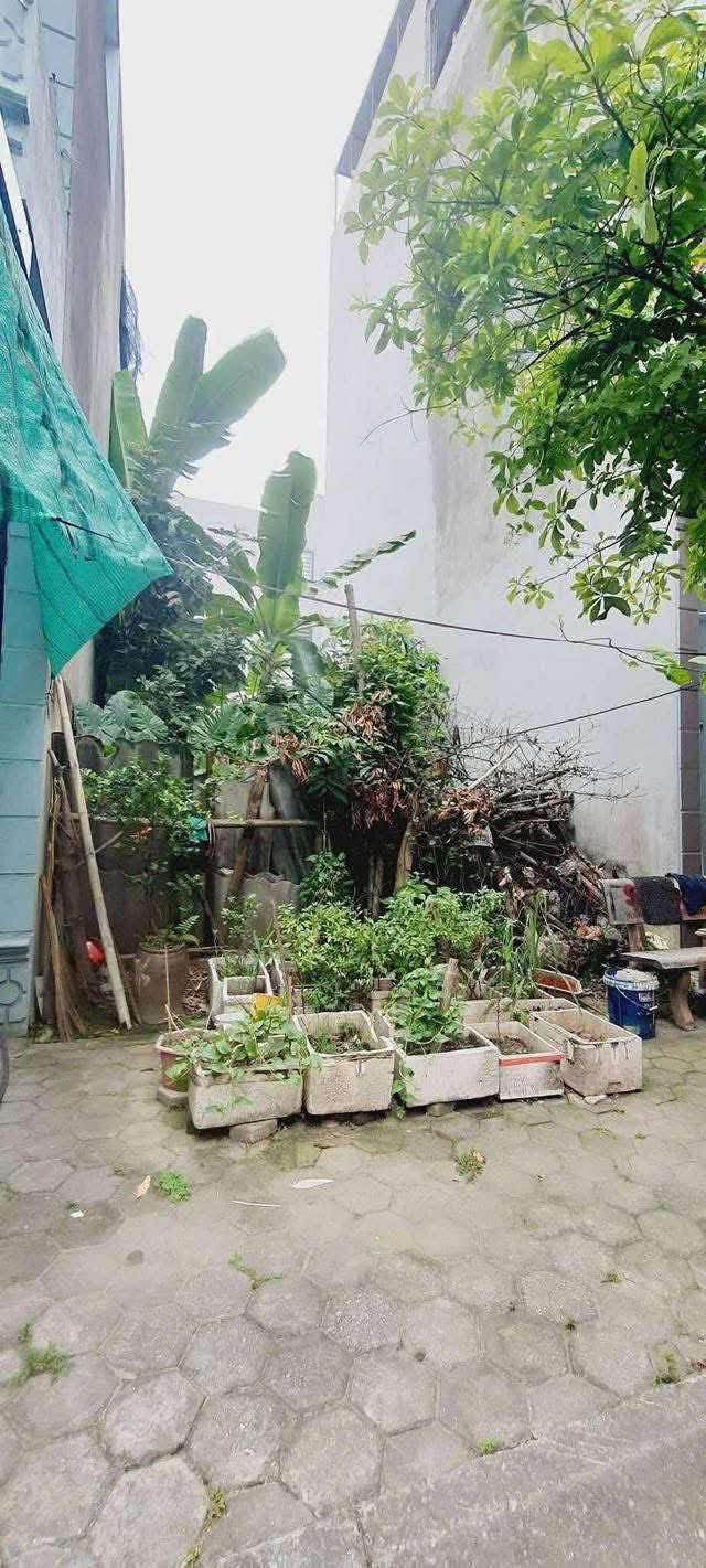 Đất Nền Mặt Đường Tái Định Cư Đồng Quýt - Nam Định - 45m² - Giá 2.7 Tỷ