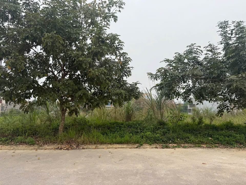 Đất nền Kosy Gia Sàng 100m² - Hướng Đông Nam, Giá 3.35 Tỷ