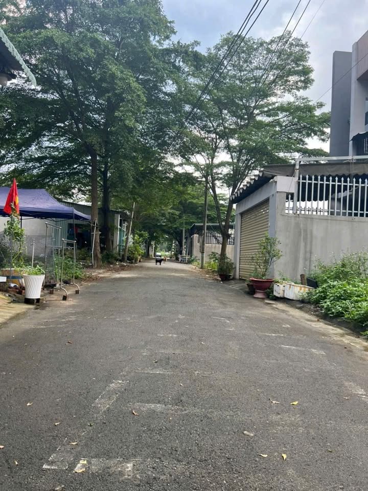 Đất Nền Tân Định Bến Cát 127m² - Sổ Đỏ Full Thổ Cư, Giá 1.1 Tỷ