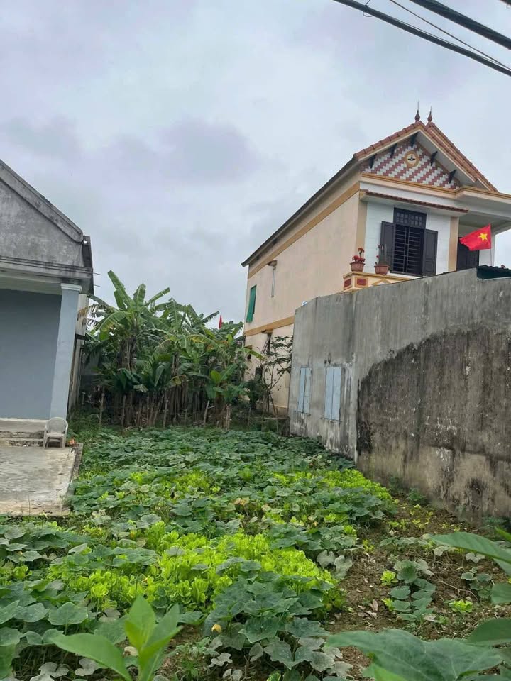 Bán Đất Nền 186m² Mặt Tiền 6m - Quảng Tiến, Quảng Trạch - Sổ Đỏ Chính Chủ