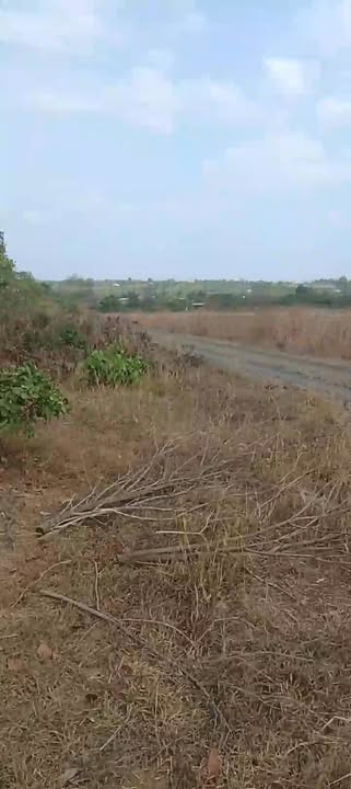 Bán Đất Trồng Điều 10.000m² Huyện M'Đrăk, Đắk Lắk - Giá 1.35 Tỷ