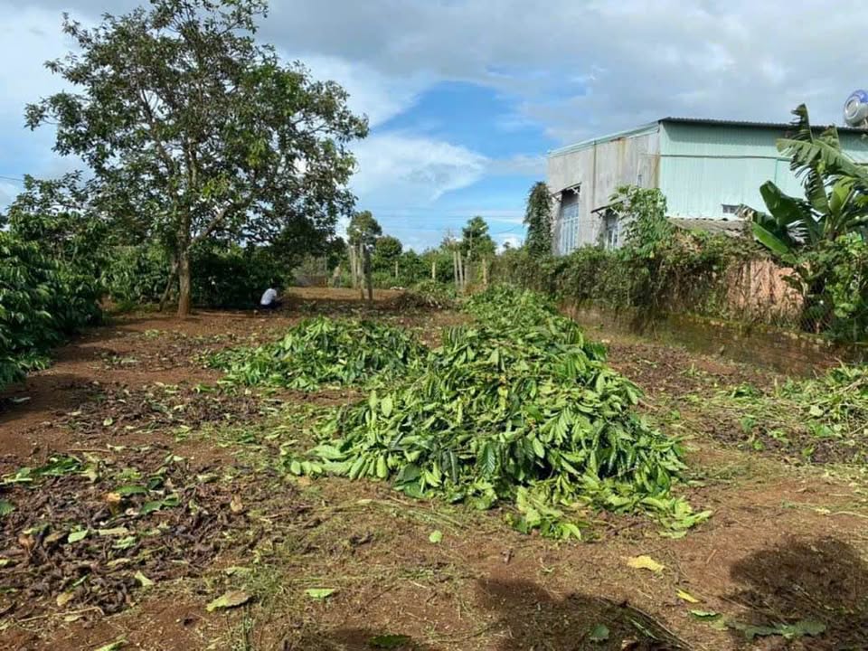 Đất Nền Ia Kly, Chư Prông - 210m² Hẻm Ô Tô, Giá 450 Triệu