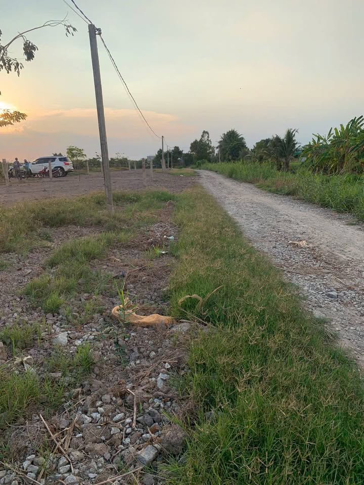 Bán Gấp Farm An Giang 1175m² Gần Chùa Bình Hoà - Giá 650 Triệu