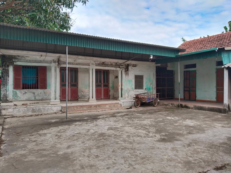 Bán Gấp Đất Tặng Nhà 540m² Thôn 11 Nga An, Thanh Hóa - Sẵn Sàng Ở Ngay