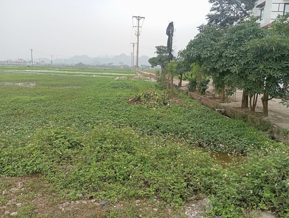 Cho thuê đất 2 mặt tiền đường 10, Nga Sơn, Thanh Hóa - Sẵn sàng kinh doanh