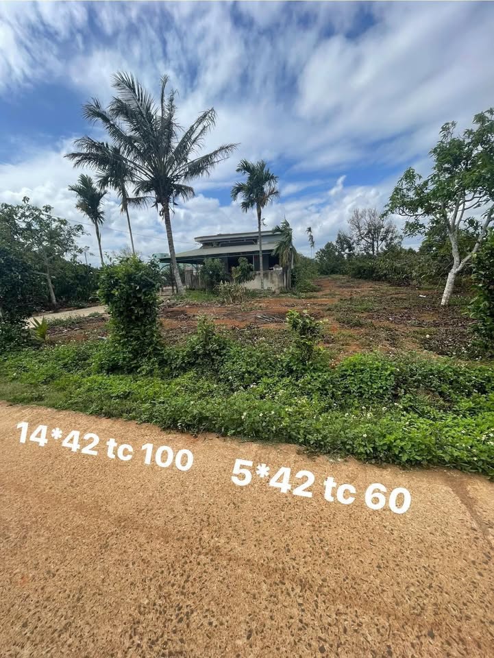 Bán Gấp Nhà & Đất Nền P.An Lạc, TX.Buôn Hồ - 588m² - 1.65 Tỷ