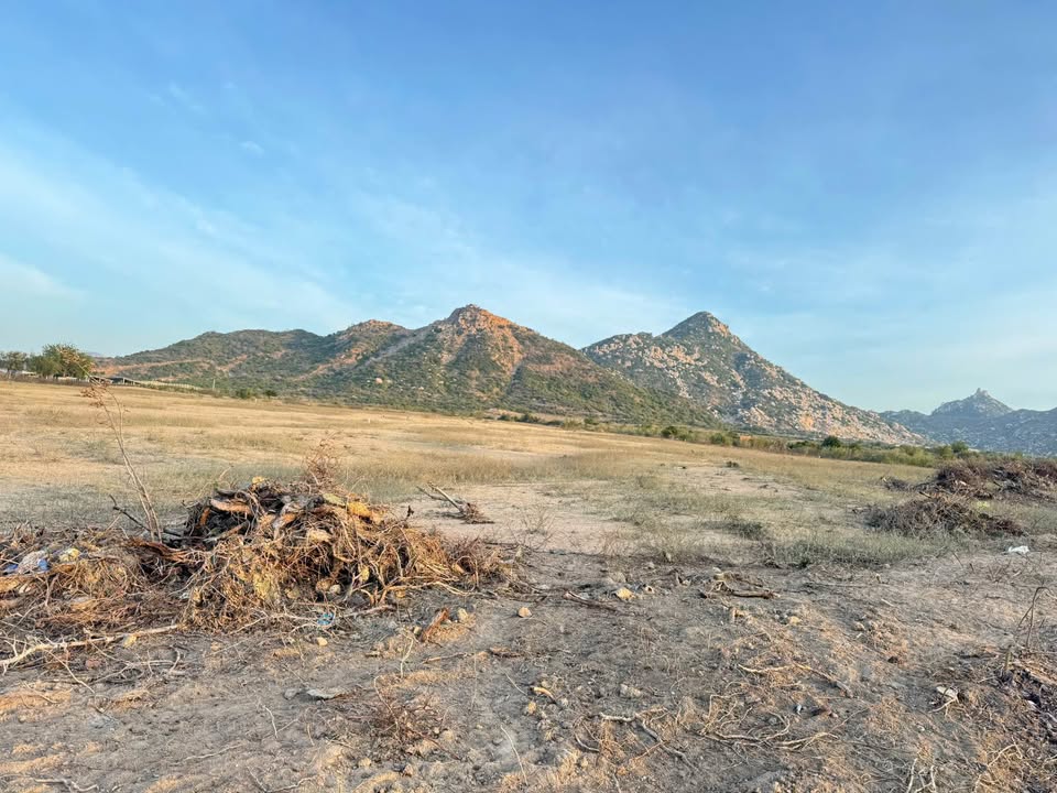 Đất Văn Lâm Sơn Hải 1.6ha giá 250tr/sào - Sổ đỏ chính chủ