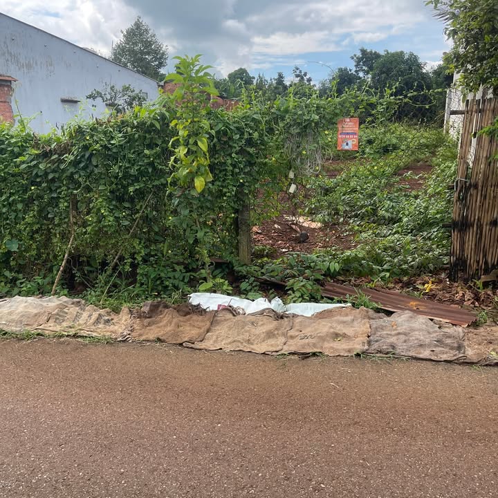 Bán Đất 2 Mặt Tiền Lạc Long Quân Ngãi, Vũng Tàu - 810m² Giá Tốt