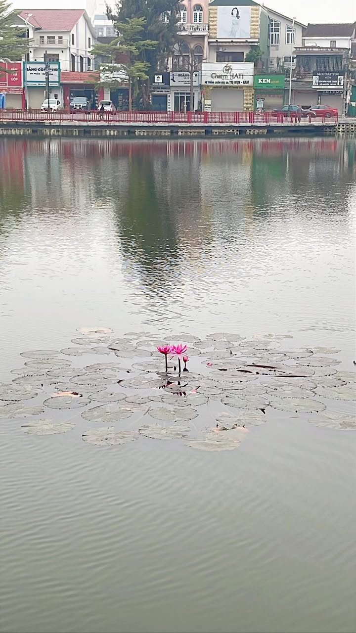 Đất nền Tiến Thạch, Hà Tĩnh - 150m² Mặt tiền kinh doanh, Giá F0