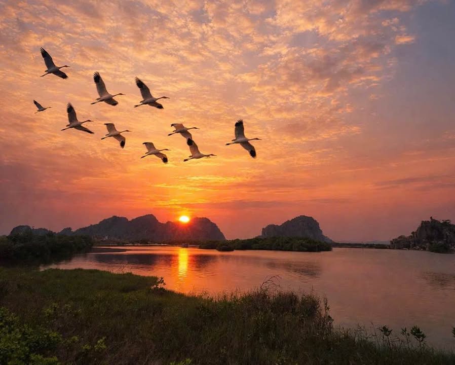 Đất Biệt Thự 182m² View Biển Hạ Long - Giá 3.2 Tỷ, Sẵn Sổ