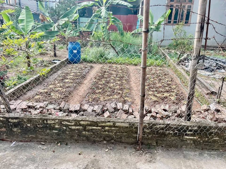 Bán Đất Thổ Cư 60m² Đan Phượng - Ô tô Ngủ Trong Đất, Giá Đầu Tư Nhỉnh 3 Tỷ