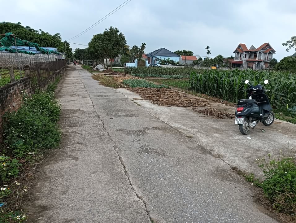 Đất nền Hưng Hà, Thái Bình 120m² - Sổ đỏ sẵn sàng, tiềm năng tăng giá