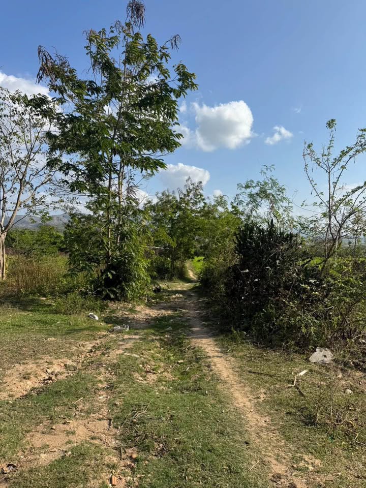 Đất Vườn Kon Tum 480m² - Giá 8xx Triệu, Gần Phố, Sẵn Làm Nhà An Nhiên