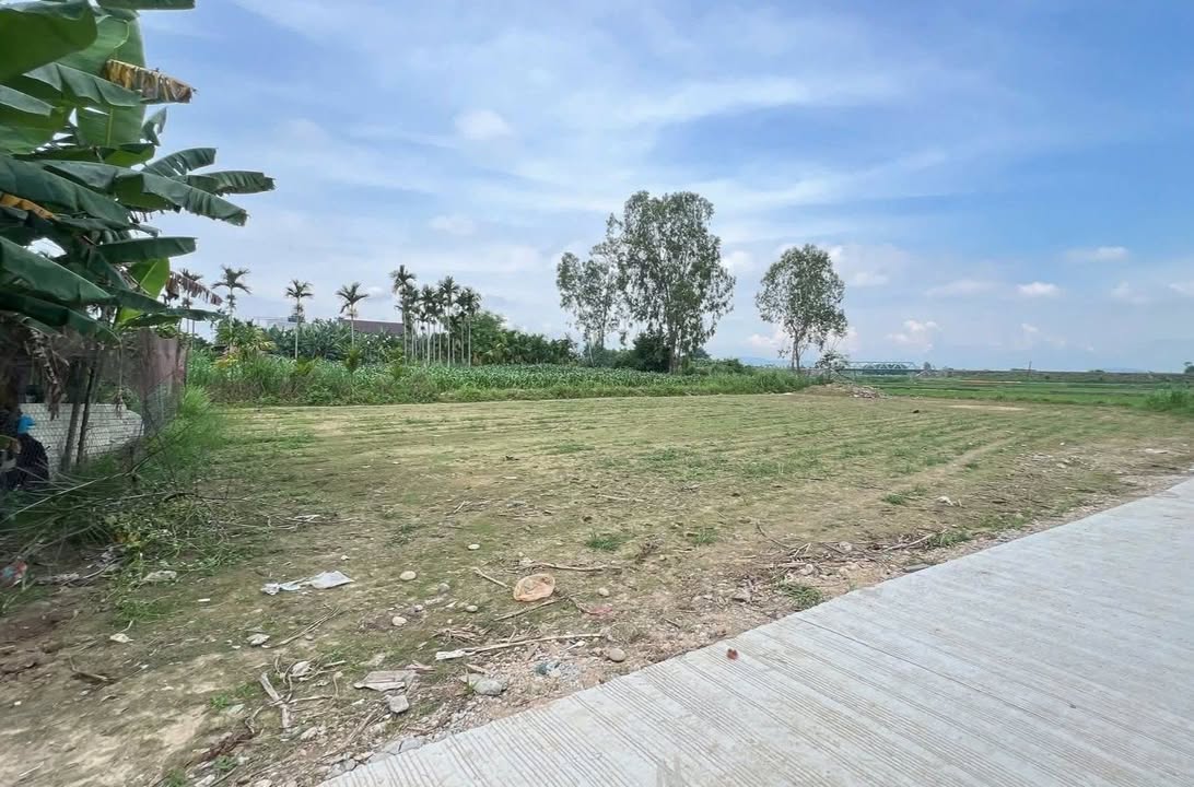 Bán Đất Vườn 1200m² Quảng Ngãi - Chỉ 1.45 Tỷ, Gần Trung Tâm