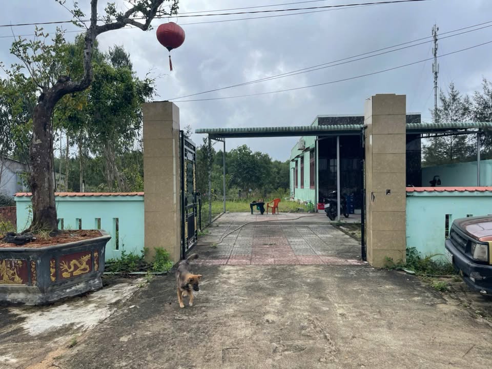 Đất Nền 300m² Thăng Bình, Quảng Nam - Gần Vinpearl, Cách Biển 900m