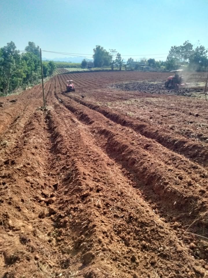 Cho thuê Đất Nông Nghiệp Tân Lạc, Hòa Bình - Sẵn Sàng Cho Dự Án Lớn