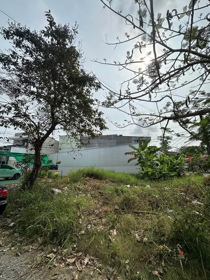 Bán Gấp Nền Góc 179m² Khu Đô Thị Nam Bắc, Cà Mau - Hướng Đẹp, Giá Tốt