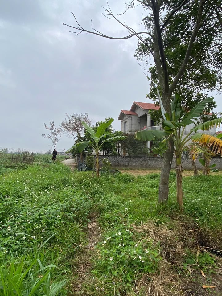 Đất Vàng Xã Yên Thắng, Yên Mô 111m² - Sổ Đỏ Sẵn Sàng