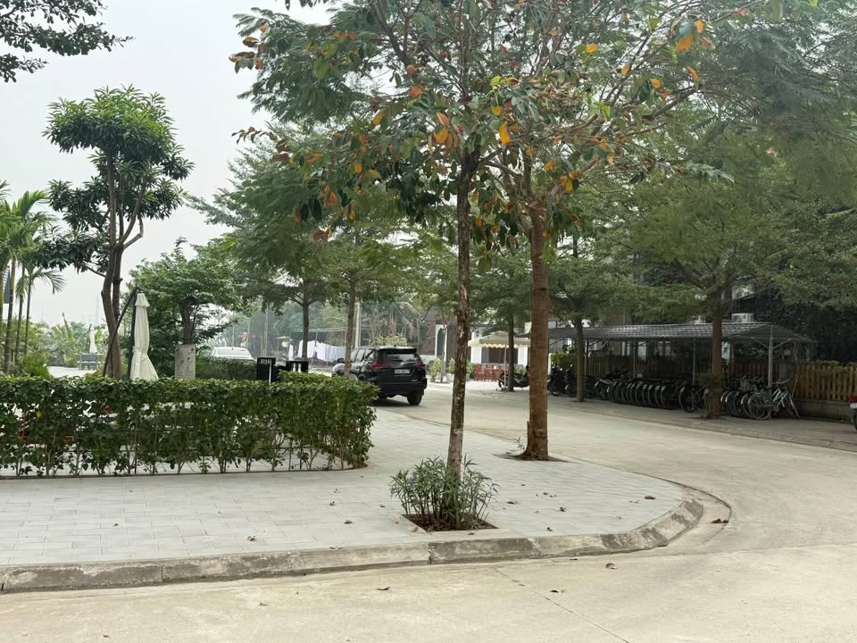 Đất Vườn Ninh Hải, Hoa Lư 308m² - Tiềm năng Homestay Vượt Trội