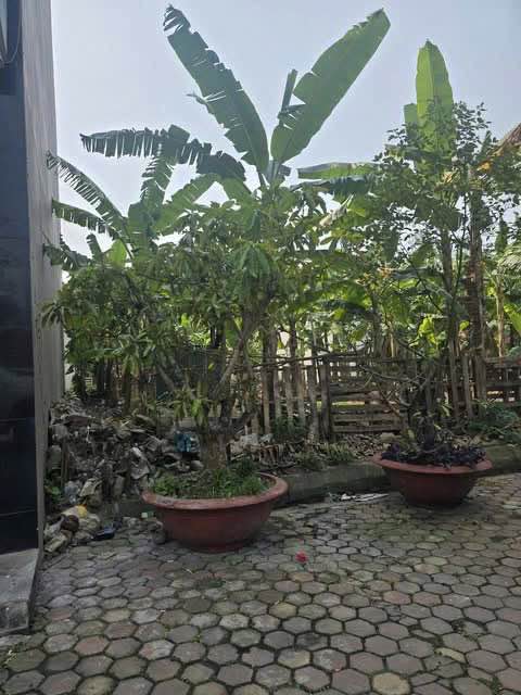 Đất nền 2 mặt đường Chợ Hội Đô, Hải Dương - Kinh doanh sầm uất