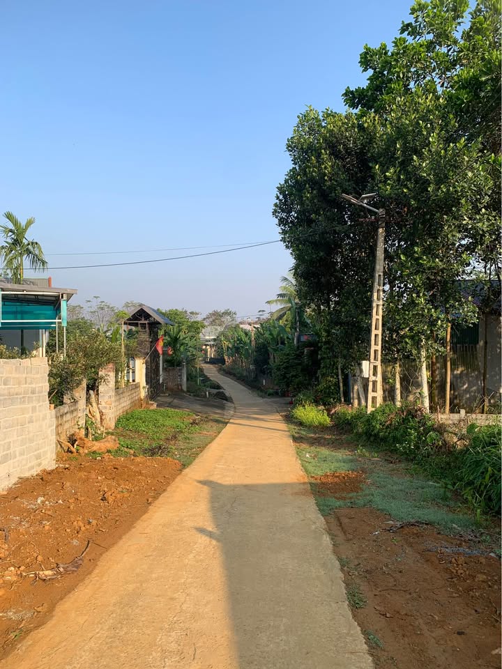 Đất Nền 750m² Trung Tâm Sao Vàng - Sẵn Sàng Đầu Tư, Kinh Doanh