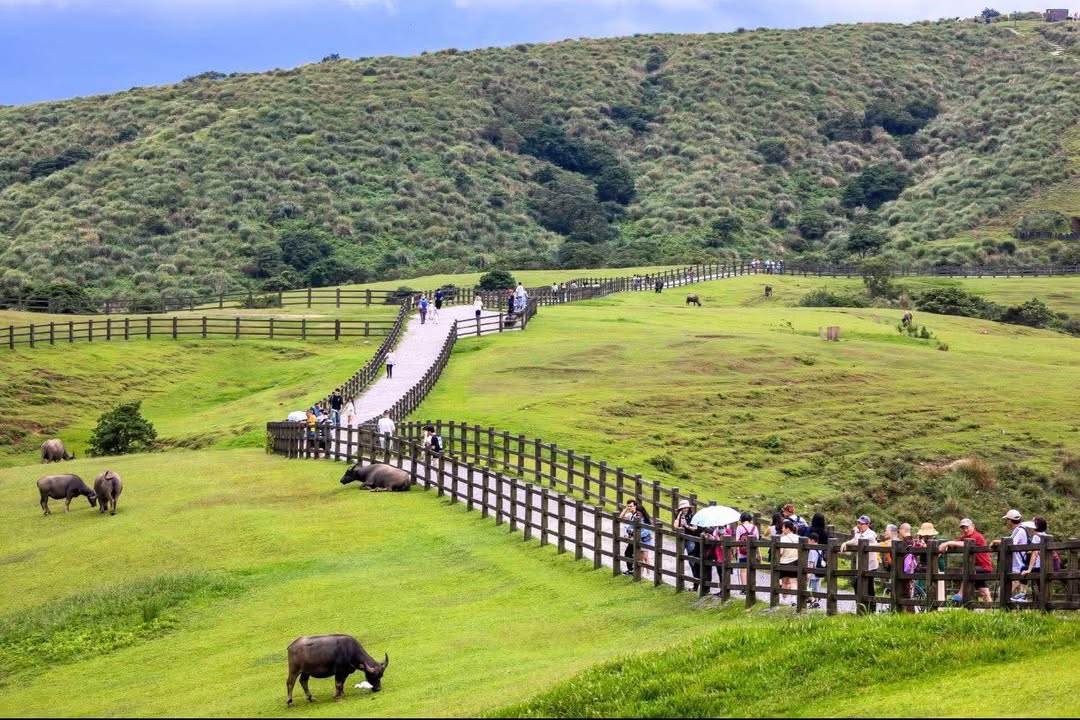 Bán Gấp Nhà Vườn Nghỉ Dưỡng 2400m² Sổ Hồng Tại Quảng Nam - Giá Đầu Tư 6 Tỷ